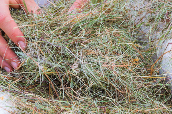 Cuscino Bio in pula di farro ed erbe alpine